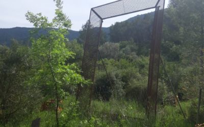 La Résilience de Sôllei’O